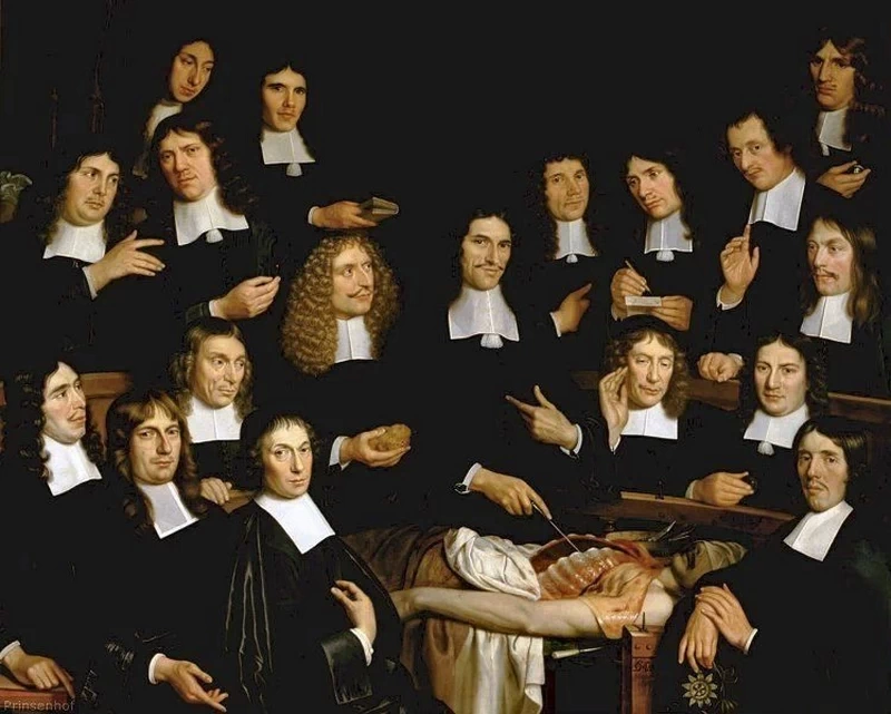 Lezione di anatomia di Cornelis van 's - Gravensande, Museum Museum Prinsenhof Delft